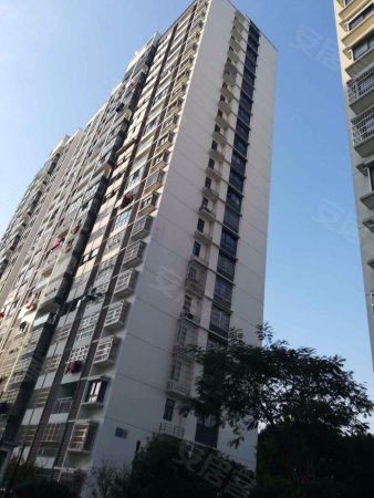 滨江明珠城二期纯毛坯三房前无遮挡全天采光有钥匙-丁何芳店铺-常州