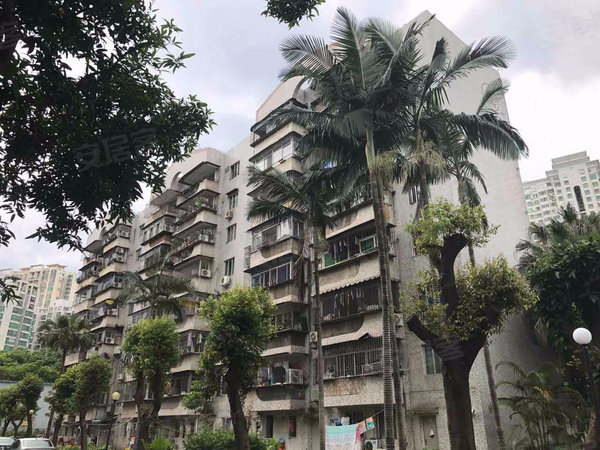 深圳小区 福田小区 皇岗小区 福民公安小区实景图 1 14&