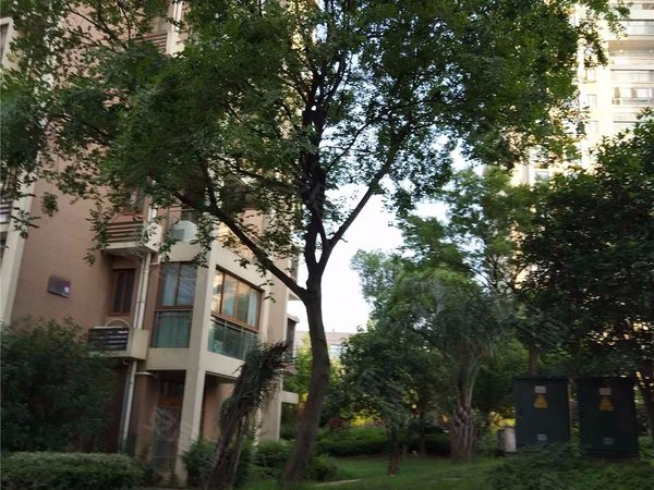 上城风景(北区)