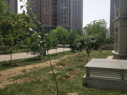 苹果园小区人口_深圳苹果园小区图片