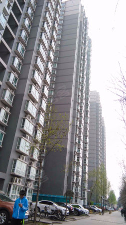新城区 东郊 幸福林带旁 华山幸福嘉苑 朝向好 随时看房