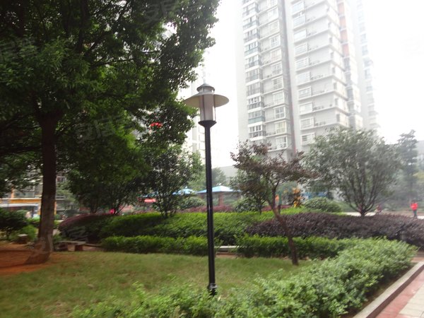 星典时代