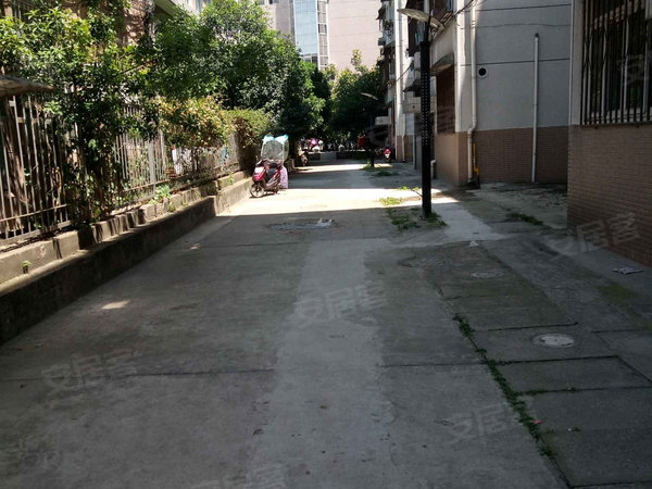 省委大院,红星路1号-合肥省委大院二手房,租房-合肥