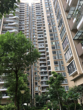 公明楼村村委房 两房一厅 50万 首付5成 楼村地铁旁