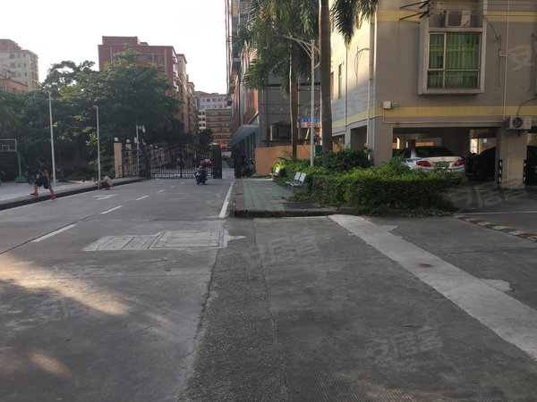 深圳小区 宝安小区 福永小区 金菊花园 实景图 1 13#xe