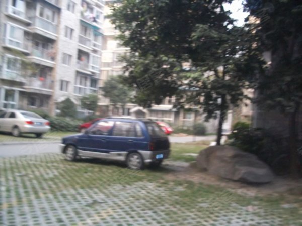 芙蓉花开简谱_芙蓉花开披肩图解