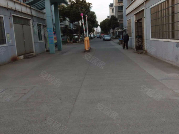 长青苑西区,长青路近新街南路-常青苑西区二手房