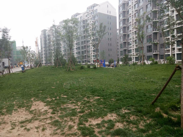 北京房产网>北京小区>海淀小区>肖家河小区>正黄旗东区> 实景图1/7