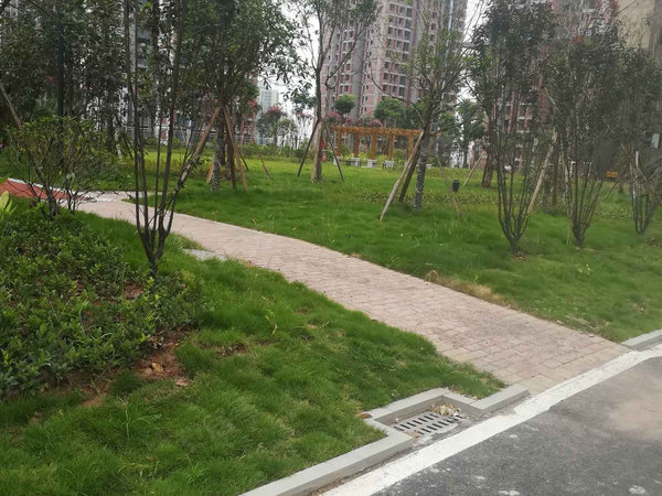 至上南江印象