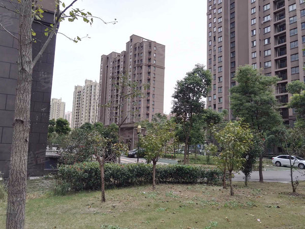 上海小区 奉贤小区 金汇小区 金碧苑 实景图 1 8