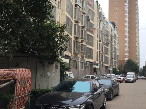 郑州小区 金水小区 国基路小区 呈祥花园实景图 1 6#xe