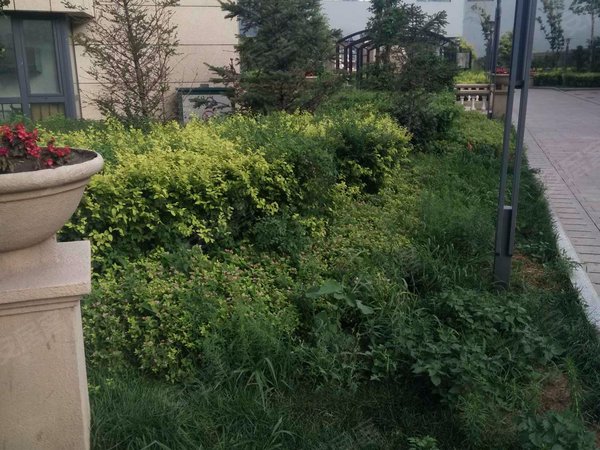 江国际,北十九道街45号-哈尔滨方远滨江国际二