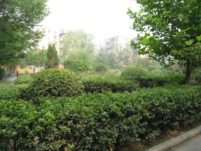 65军干休所宿舍,65军干休所宿舍地址, 65军干