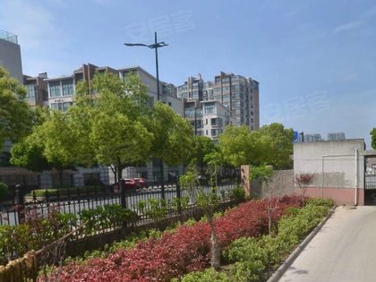 天鹅县长安家园有多少人口_天鹅卡通图片
