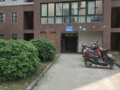 240x180.jpg?t=1