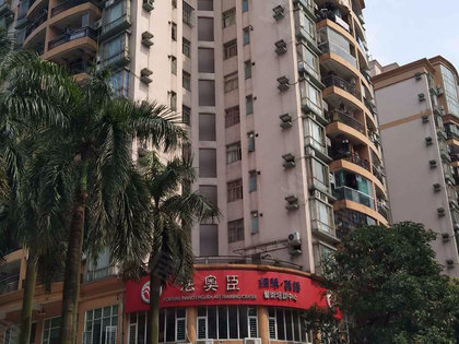 广州骏景花园人口_广州各区人口图(2)
