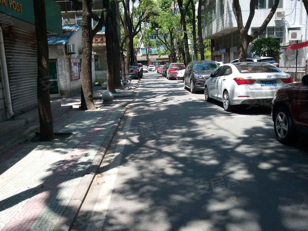 省委大院,红星路1号-合肥省委大院二手房,租房-合肥