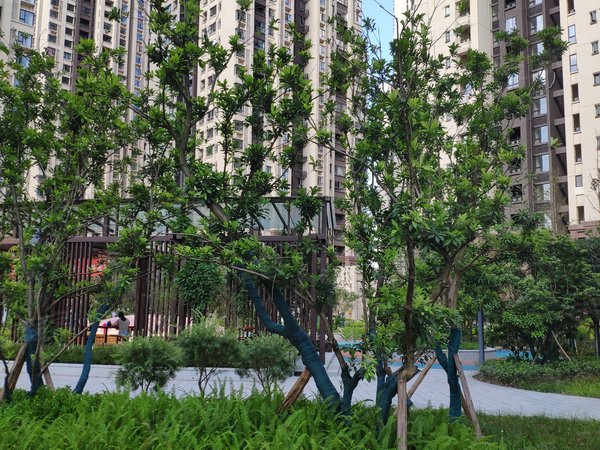 华融现代城,港兴路11号-重庆华融现代城二手房,租房-重庆安居客