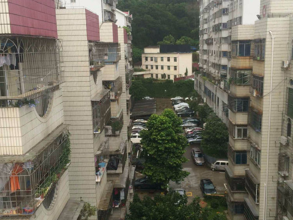 金枫花园 罗湖-黄贝岭-新秀路18号