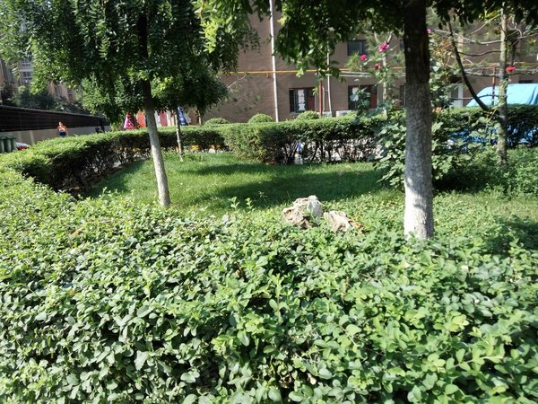 大兴景苑,大白杨南路7号-西安大兴景苑二手房