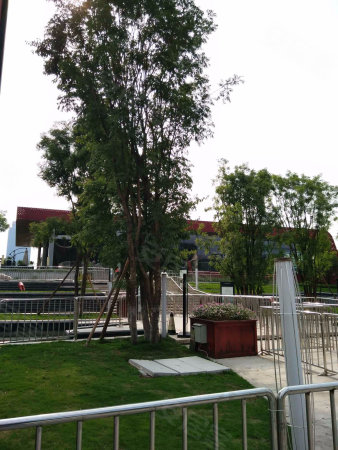 360万方小学轨道站公园商圈旁带巴蜀中央和八小学试毕业图片