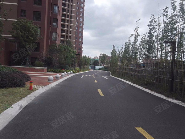 上海小区 松江小区 泗泾小区 金地褐石苑 实景图 1 30#xe