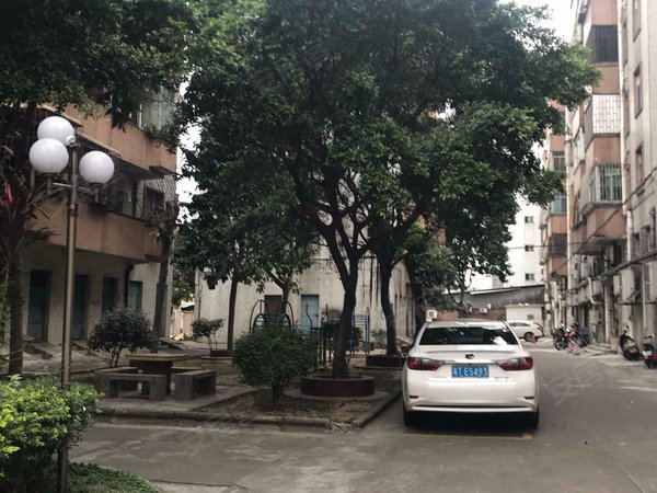 中山小区 小榄小区 菊城大道小区 榕苑花园实景图 1 14