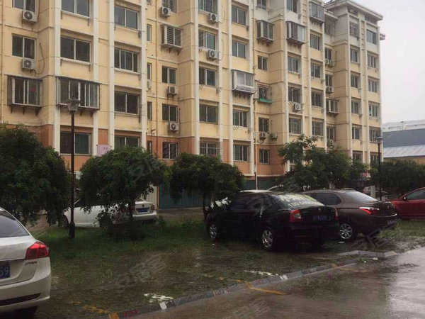 阳光绿洲