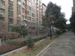 瑞麟君府老总_临潼瑞麟君府实景(2)