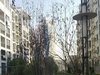 文昌金座租房1200元/月