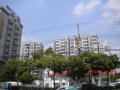 河风丽景