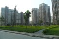 住欣家园