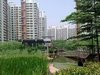时代玫瑰园租房1000元/月
