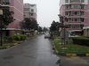 马浜花园(南北区)租房300元/月