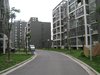 乐府江南租房450元/月
