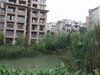 欧风丽苑租房250元/月