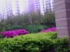 飞洲国际广场租房380元/月