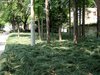 路易凯旋宫租房15000元/月
