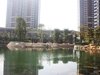 大运城邦租房1100元/月