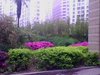 大众大厦租房360元/月