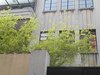 五原路洋房租房85000元/月
