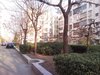 双花园南里一区租房6000元/月