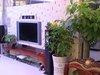 中海西岸华府租房1600元/月
