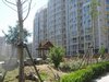 新龙城租房1150元/月