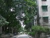沙园租房1500元/月