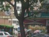 振业梅苑租房800元/月