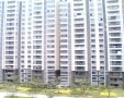东兰兴城