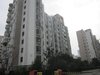 高尔夫花园租房300元/月