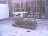 漷县靛庄小区租房850元/月