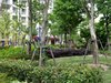 万源城朗郡租房500元/月